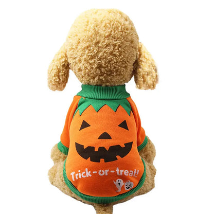 Halloween funny pet clothes - www.Shopthatapp.com #
