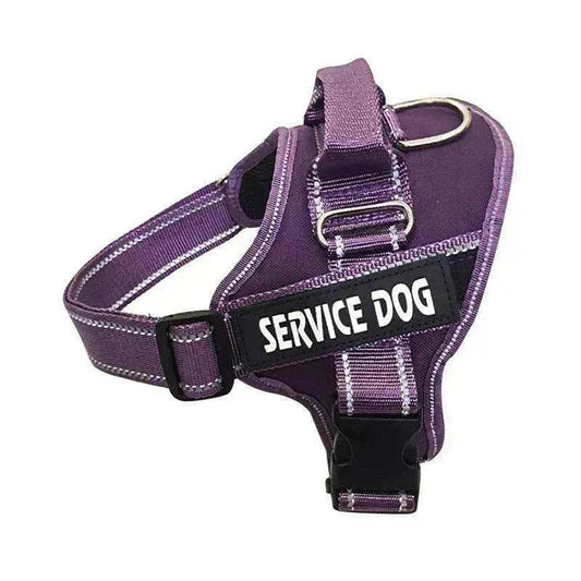 High Quality Personalization Of Pet Chest Strap / leash - www.Shopthatapp.com