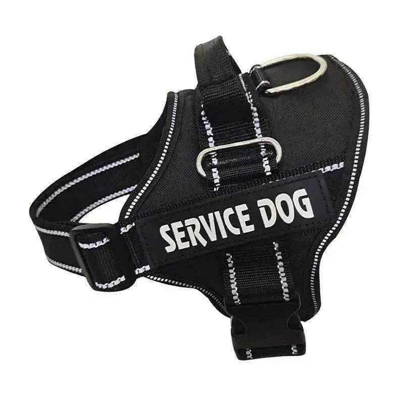 High Quality Personalization Of Pet Chest Strap / leash - www.Shopthatapp.com
