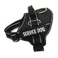 High Quality Personalization Of Pet Chest Strap / leash - www.Shopthatapp.com