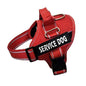 High Quality Personalization Of Pet Chest Strap / leash - www.Shopthatapp.com