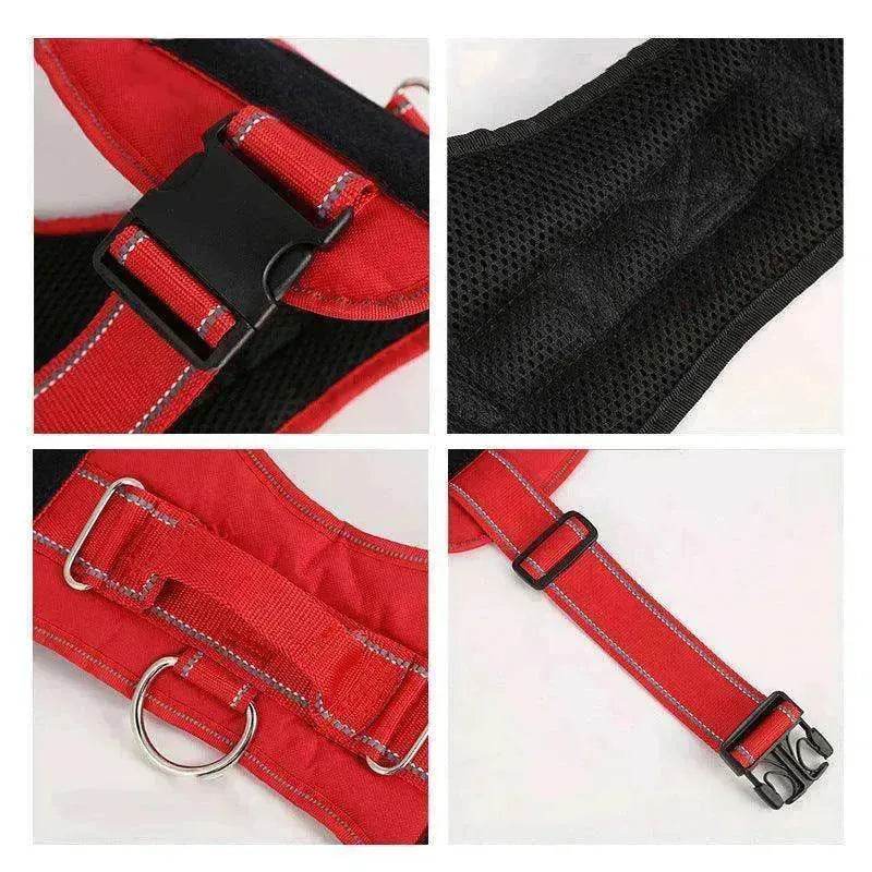 High Quality Personalization Of Pet Chest Strap / leash - www.Shopthatapp.com