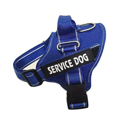 High Quality Personalization Of Pet Chest Strap / leash - www.Shopthatapp.com