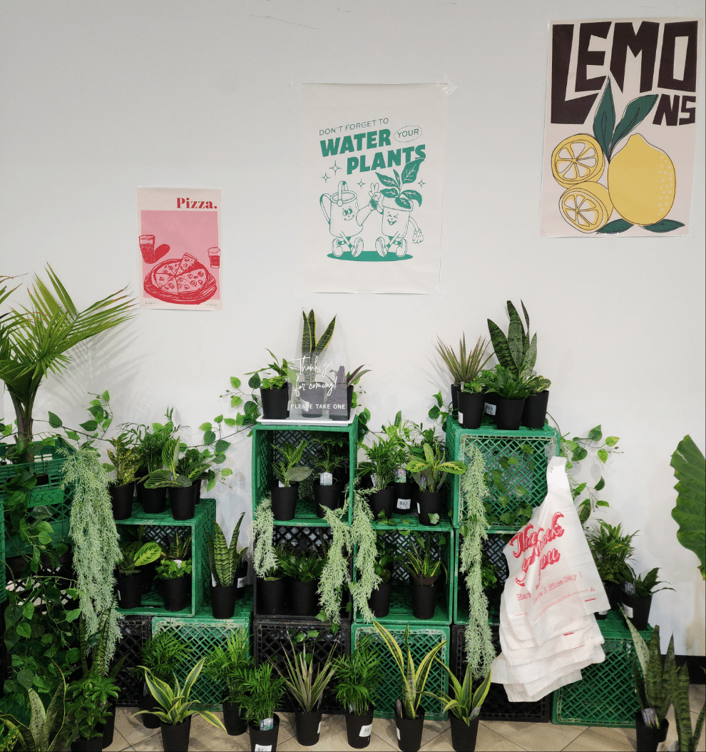 Bar à plantes