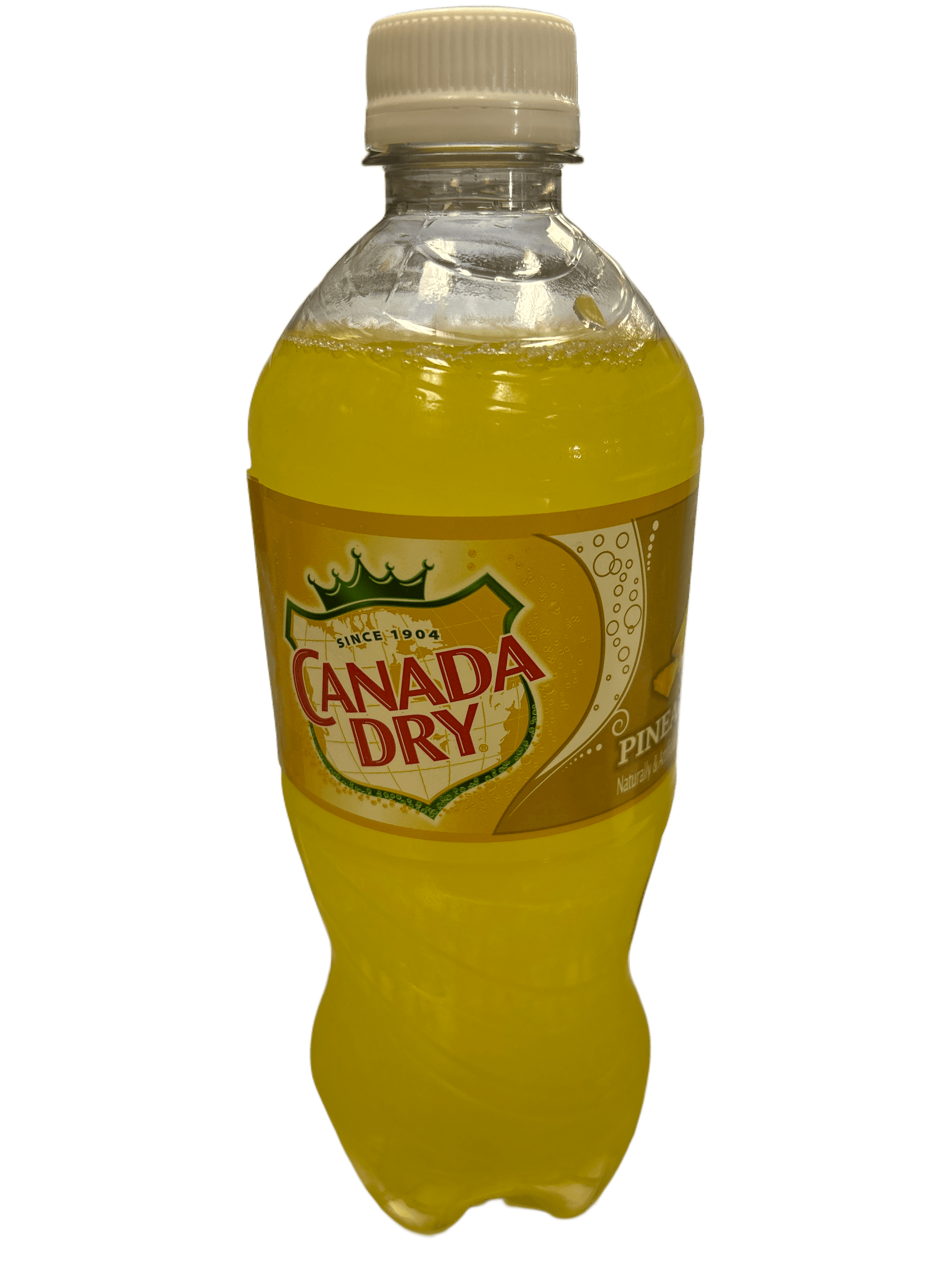 Canada Dry Pineapple Bottle 591ML - www.Shopthatapp.com