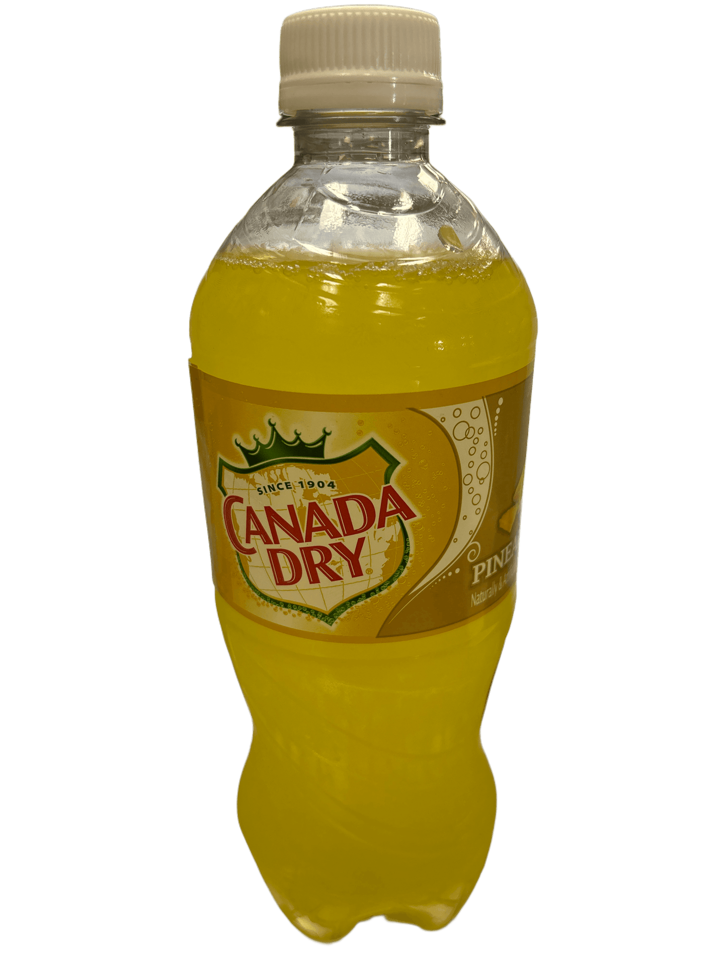 Canada Dry Pineapple Bottle 591ML - www.Shopthatapp.com