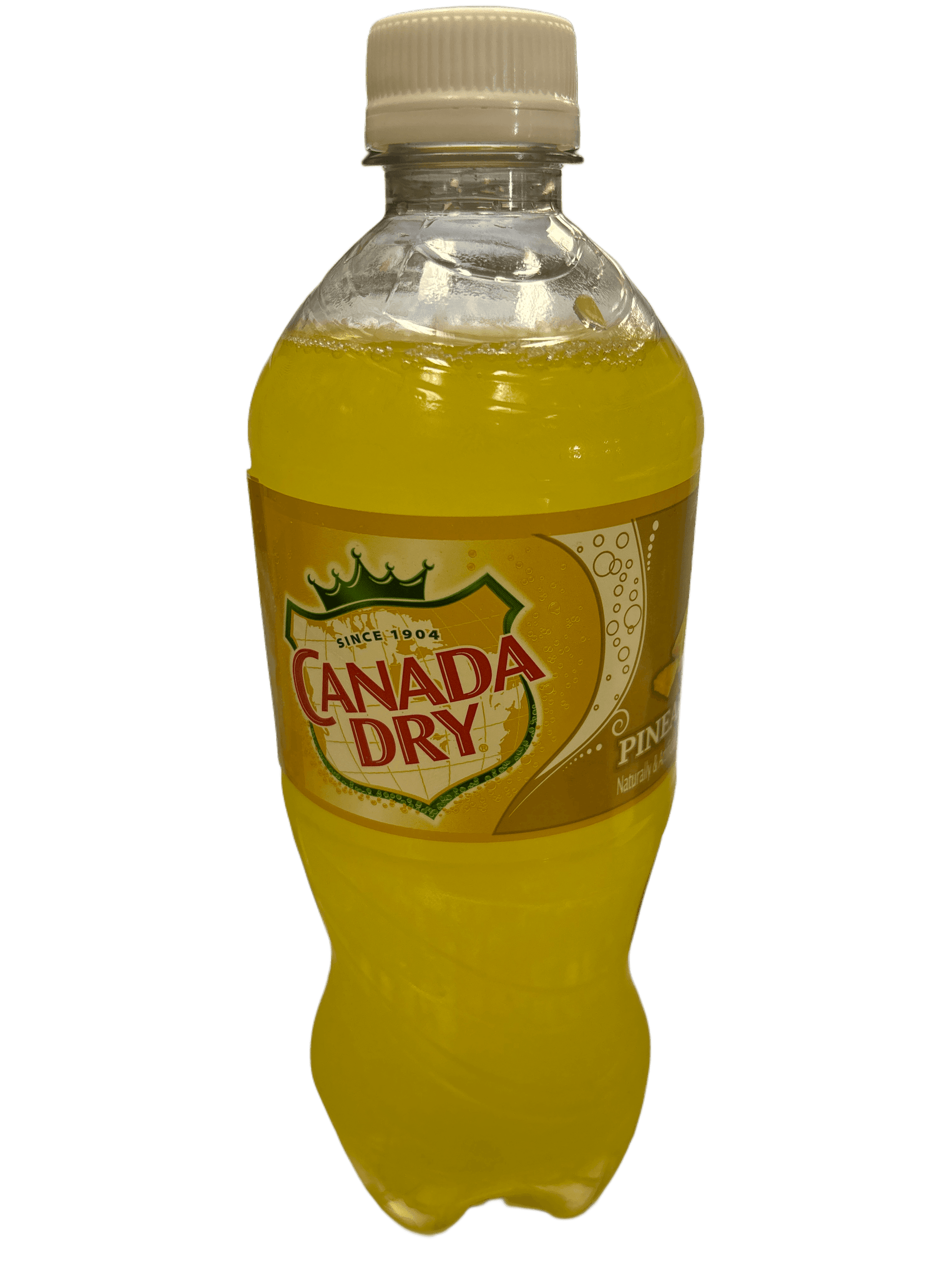 Canada Dry Pineapple Bottle 591ML - www.Shopthatapp.com