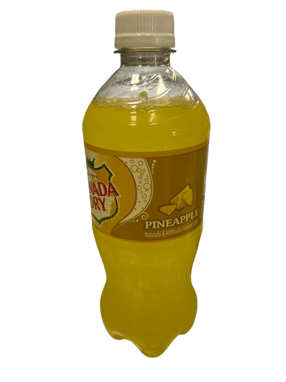 Canada Dry Pineapple Bottle 591ML - www.Shopthatapp.com