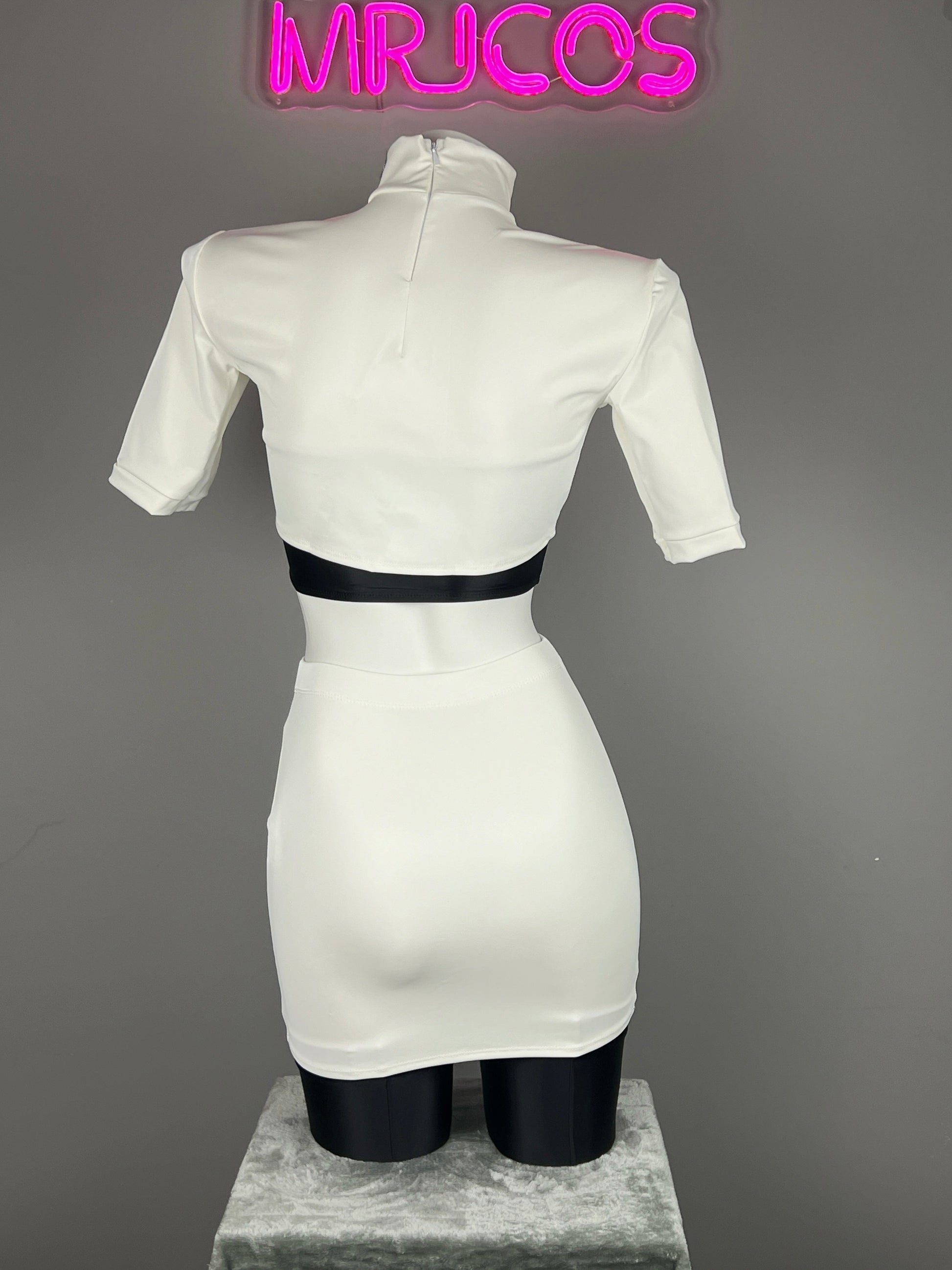 Anime Team Rocket Spandex Leather Cosplay Costume Set with Gloves and Skirt - www.Shopthatapp.com