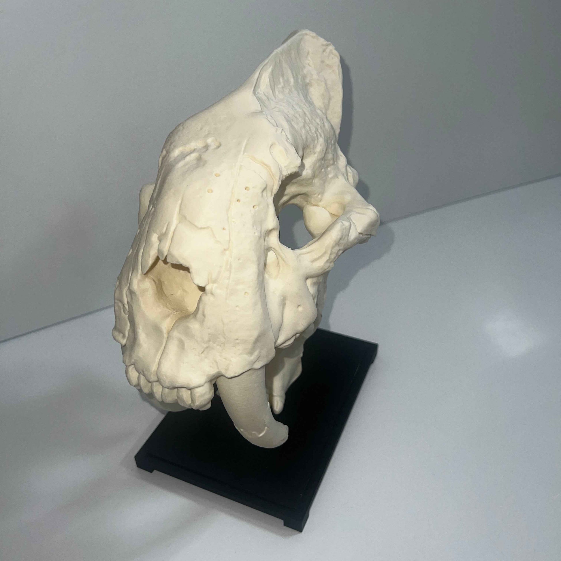 Saber tooth Cat (Smilodon) - 3D Printed