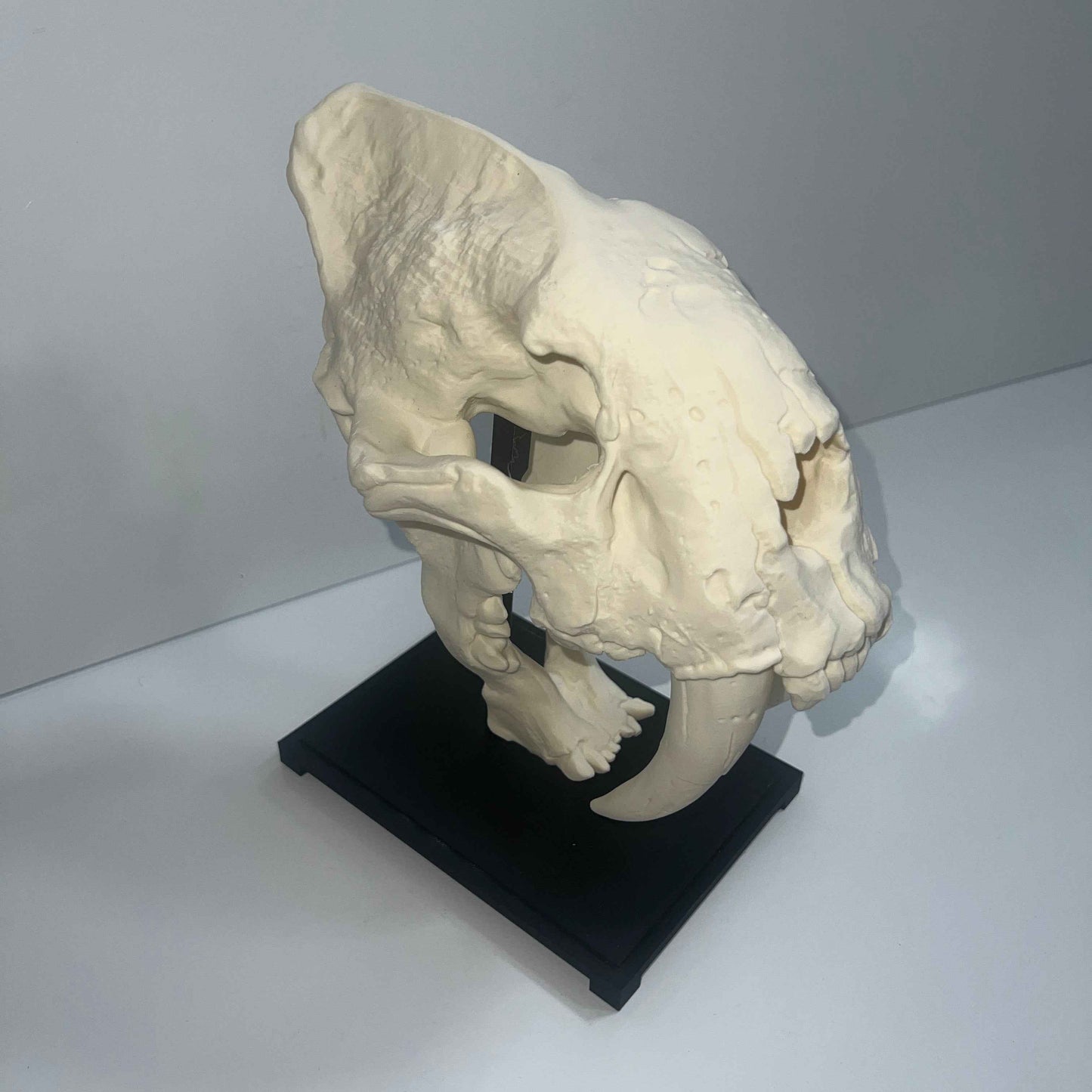 Saber tooth Cat (Smilodon) - 3D Printed