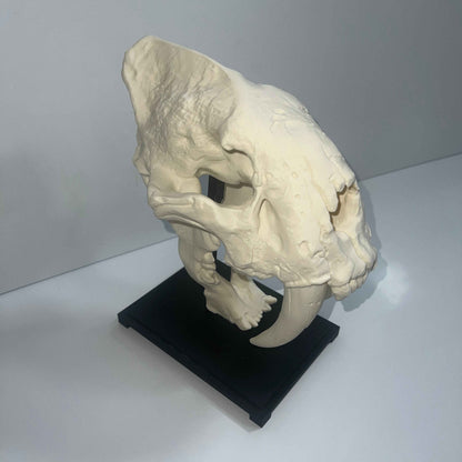 Saber tooth Cat (Smilodon) - 3D Printed
