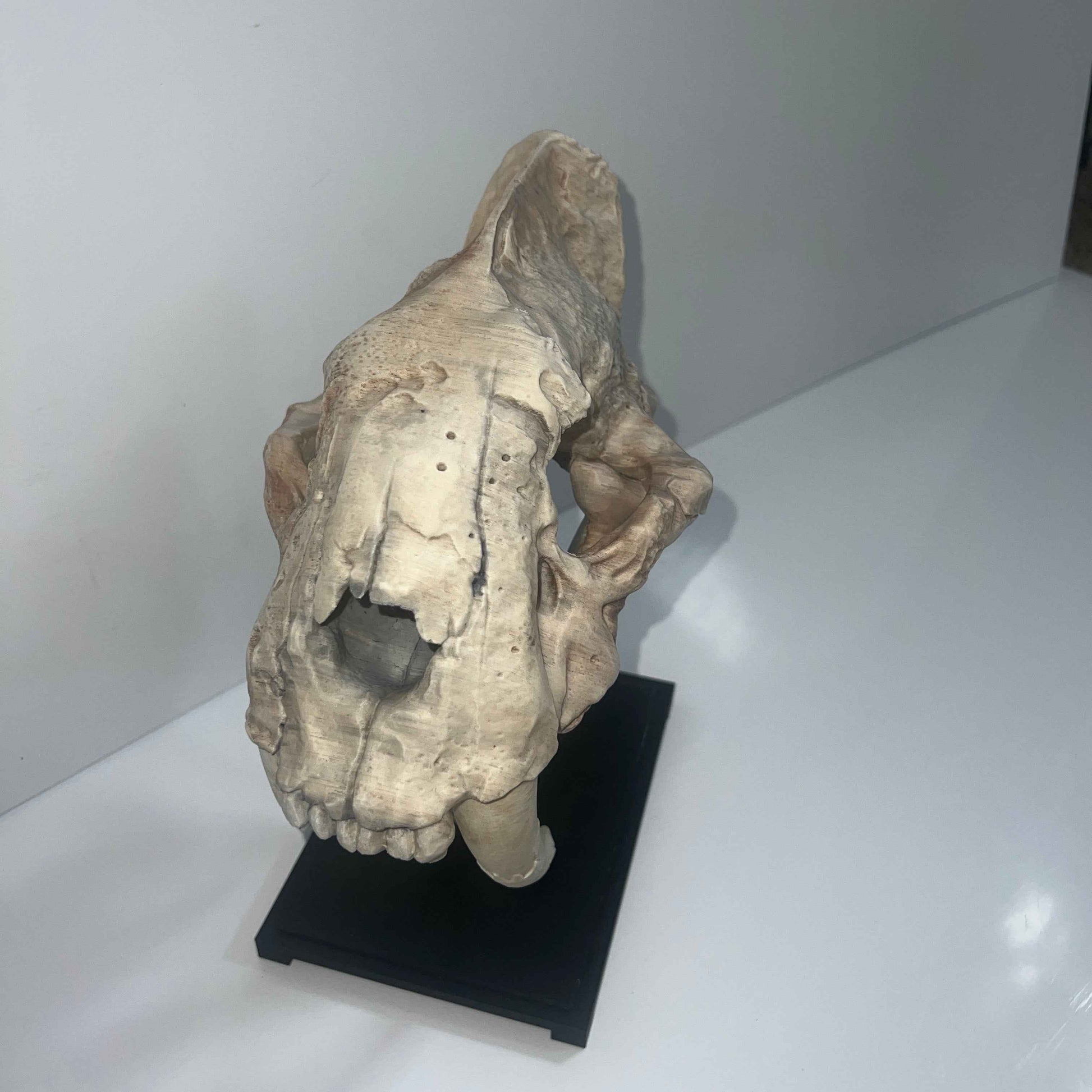 Saber tooth Cat (Smilodon) - 3D Printed