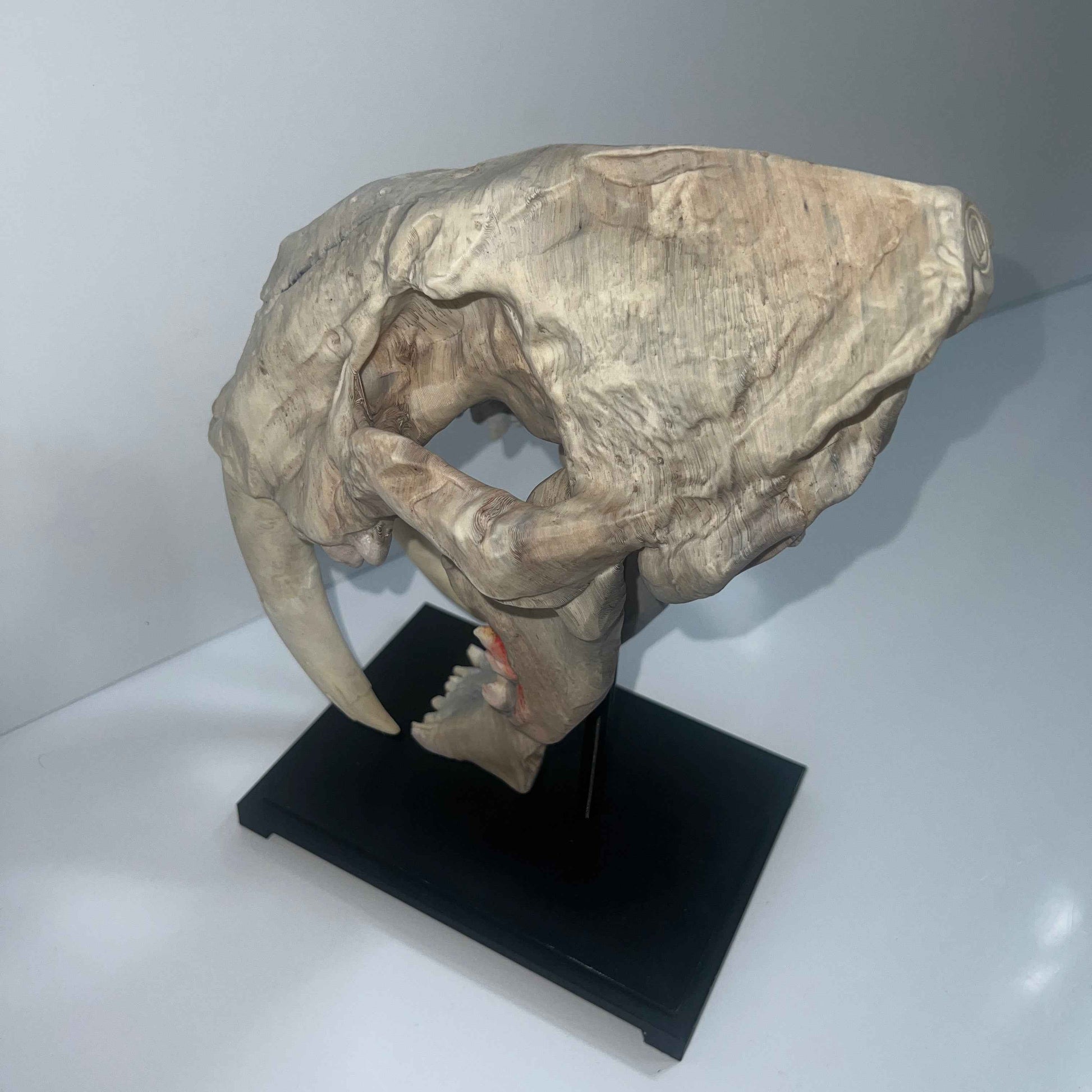 Saber tooth Cat (Smilodon) - 3D Printed