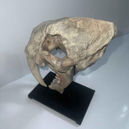 Saber tooth Cat (Smilodon) - 3D Printed