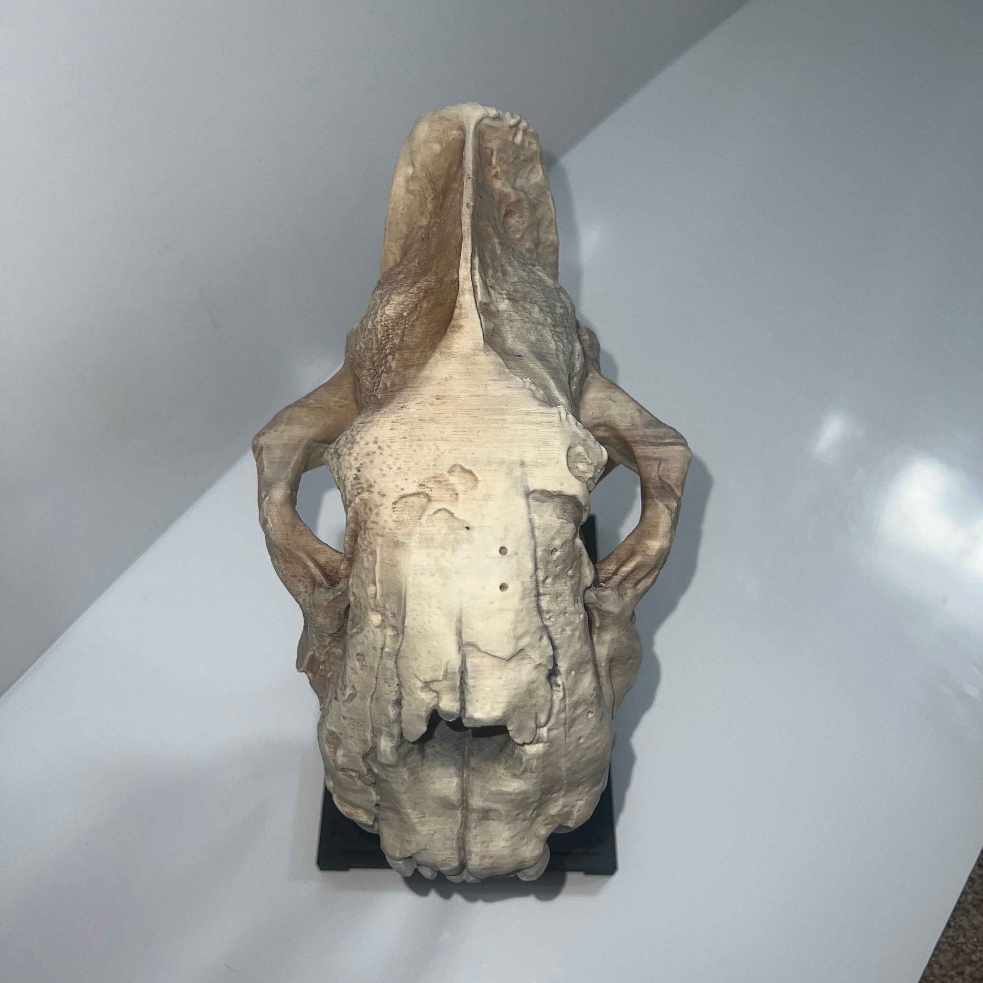 Saber tooth Cat (Smilodon) - 3D Printed