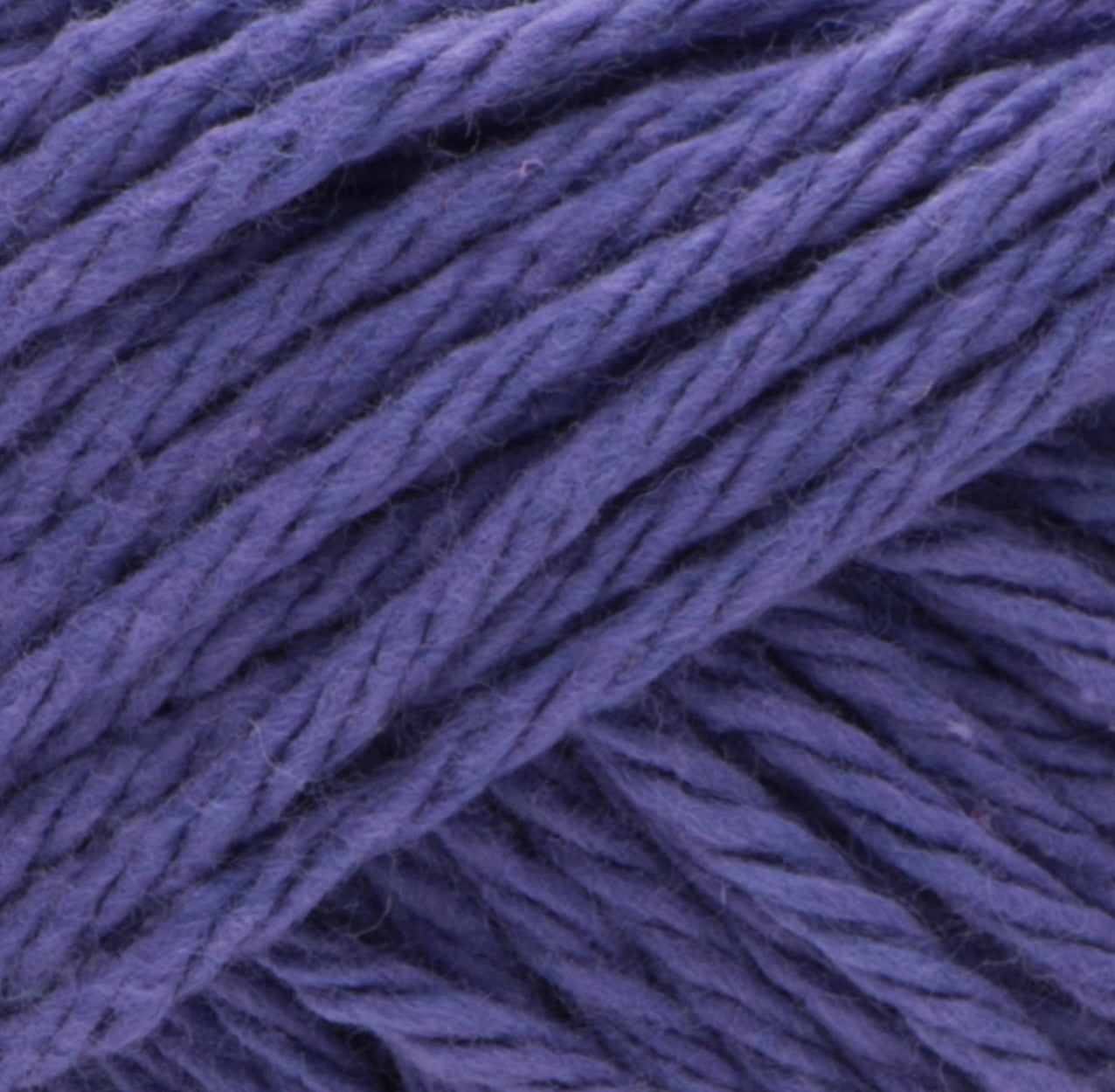 Lily Sugar N‘ Cream – Feststoffe in Supergröße
