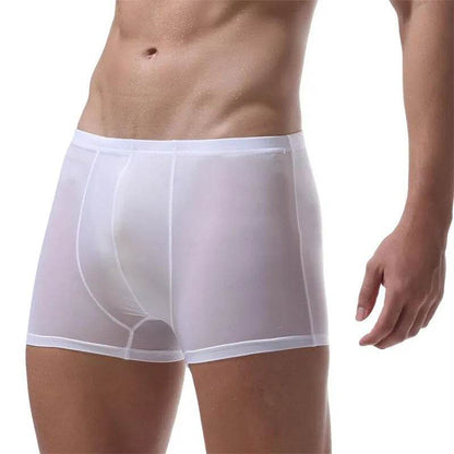 Ice Silk Transparent Elastic Boxer briefs Pant underwear for men - www.Shopthatapp.com #