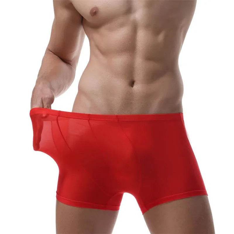 Ice Silk Transparent Elastic Boxer briefs Pant underwear for men - www.Shopthatapp.com #