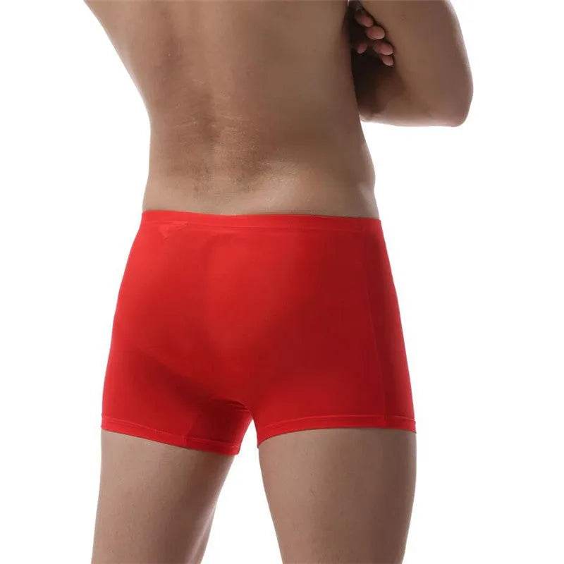 Ice Silk Transparent Elastic Boxer briefs Pant underwear for men - www.Shopthatapp.com #