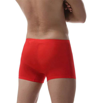 Ice Silk Transparent Elastic Boxer briefs Pant underwear for men - www.Shopthatapp.com #