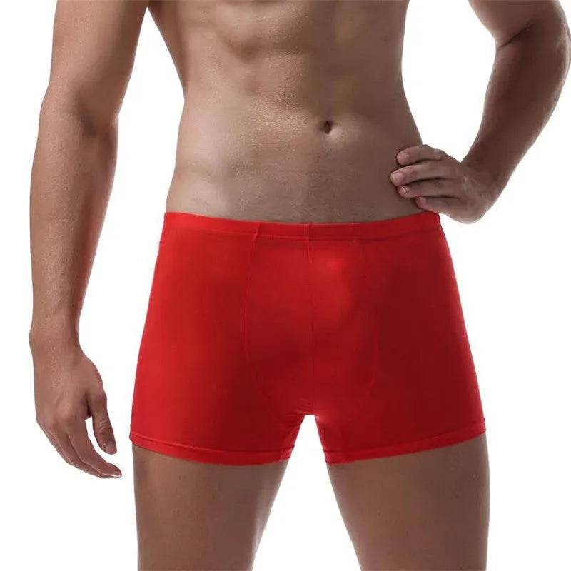 Ice Silk Transparent Elastic Boxer briefs Pant underwear for men - www.Shopthatapp.com #
