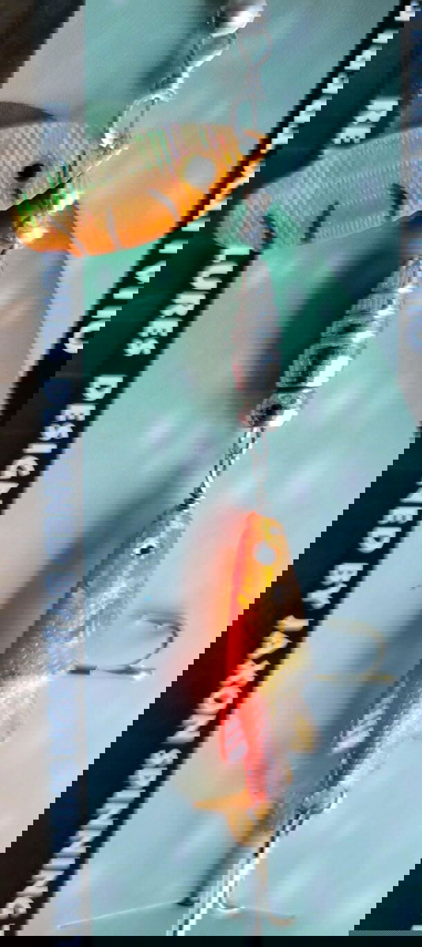 Jaxon Holo-Reflex Spinning Lures - www.Shopthatapp.com