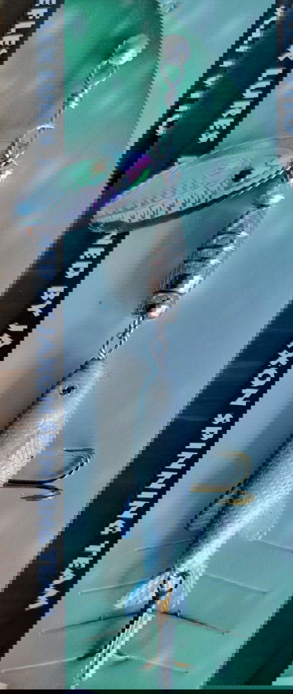 Jaxon Holo-Reflex Spinning Lures - www.Shopthatapp.com