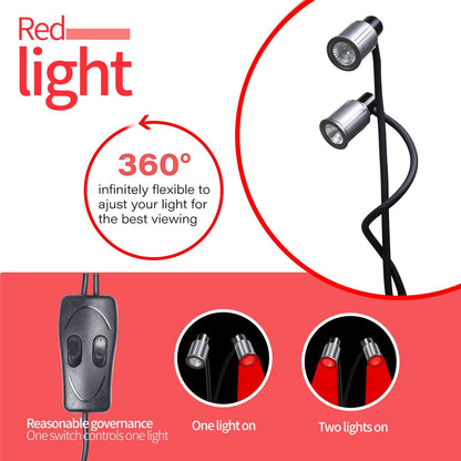 LED Infrared Light Therapy Double Head Beauty Lamp - www.Shopthatapp.com