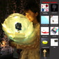 LED Luminous Balloon Rose Bouquet Transparent Bobo Ball Rose - www.Shopthatapp.com