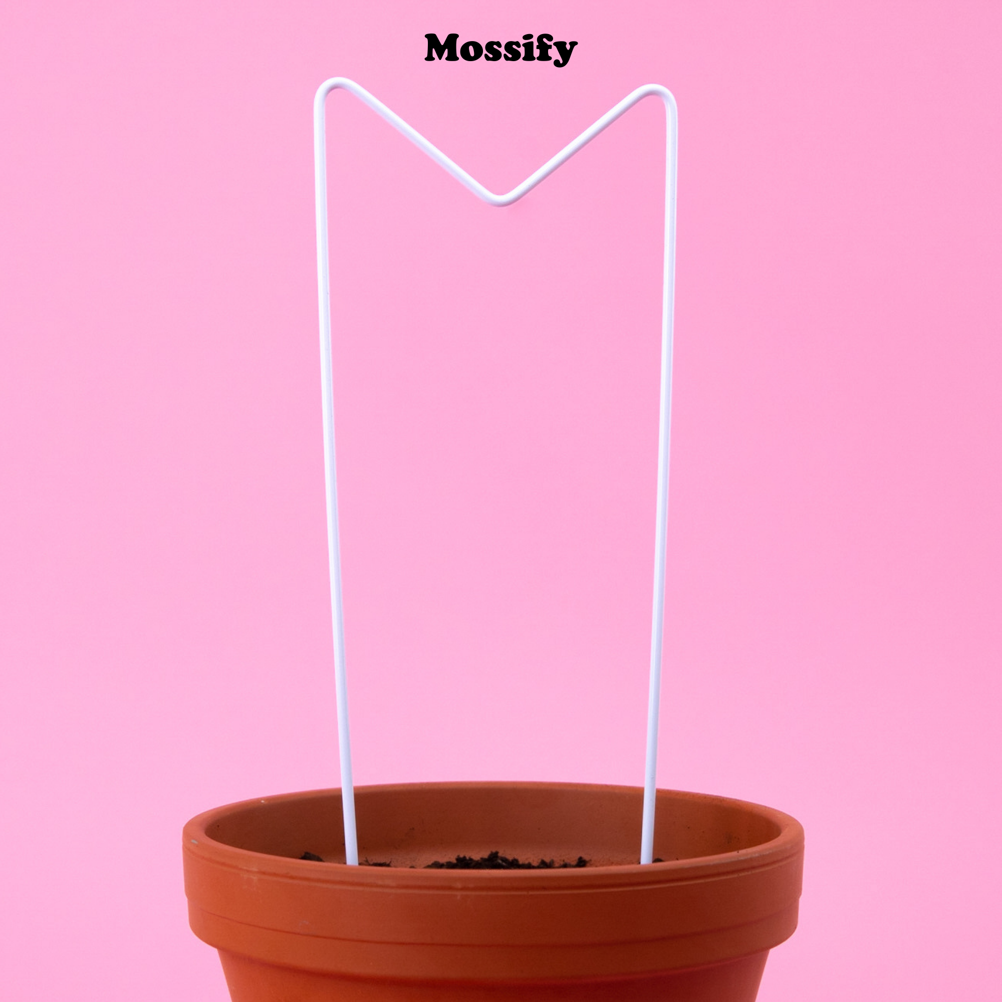 "M" Metal Trellis - www.Shopthatapp.com #