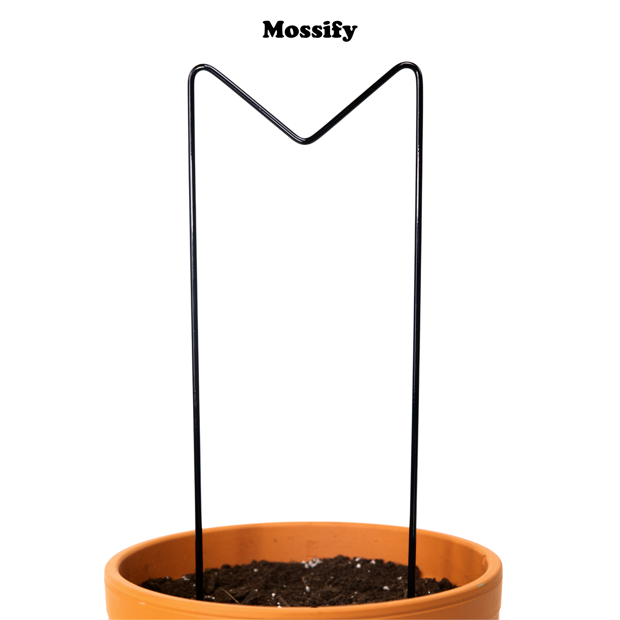 "M" Metal Trellis - www.Shopthatapp.com #