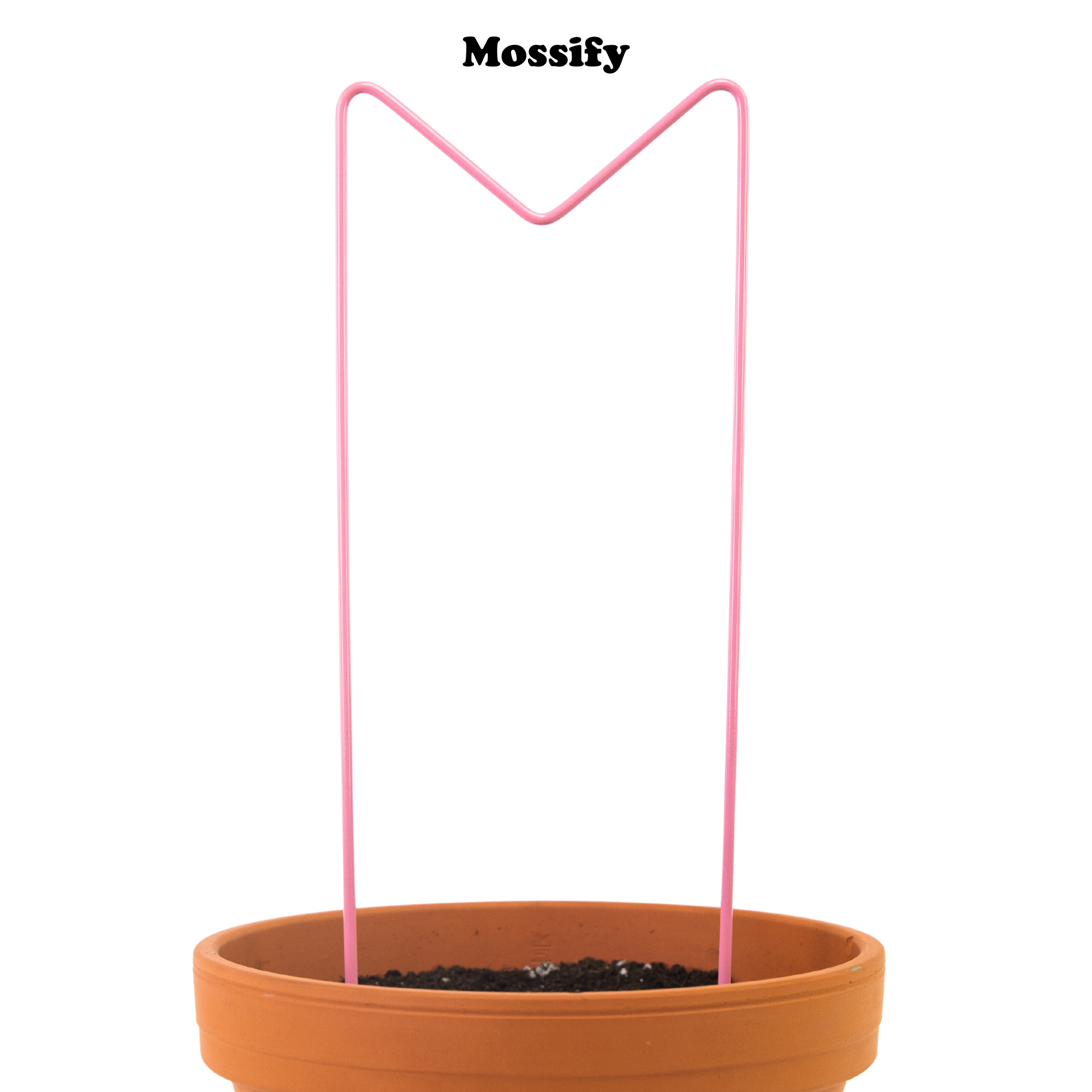 "M" Metal Trellis - www.Shopthatapp.com #