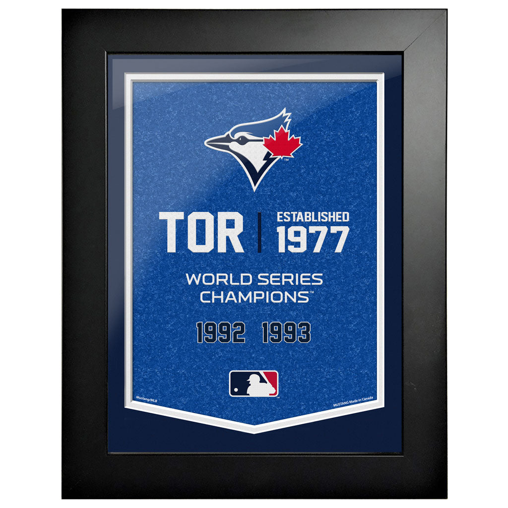 Toronto Blue Jays 12x16 Team Empire Framed Artwork - www.Shopthatapp.com