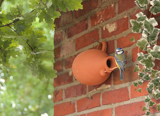Bird Nesting Bottle Tits/Sparrows - www.Shopthatapp.com