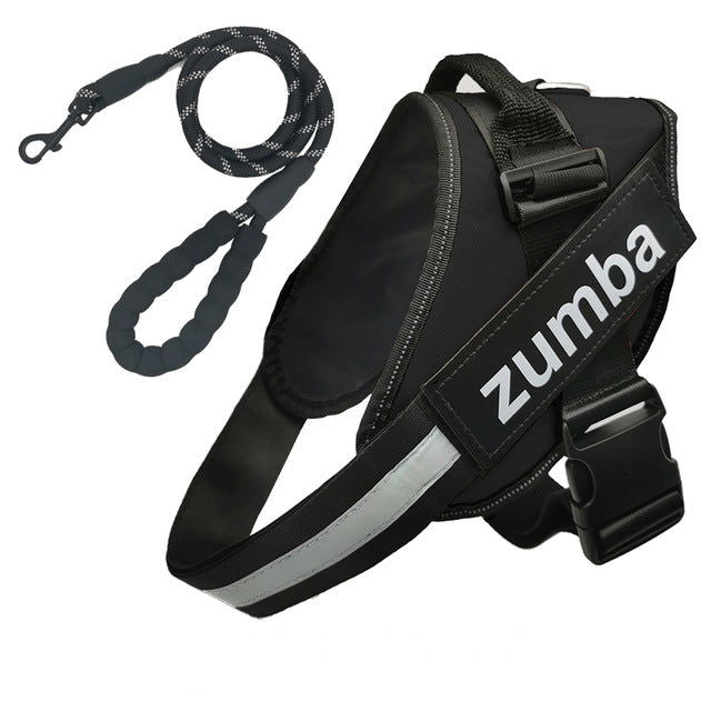 Personalized Dog Harness and Leash with Name and Phone Number - Www.Shopthatapp.com