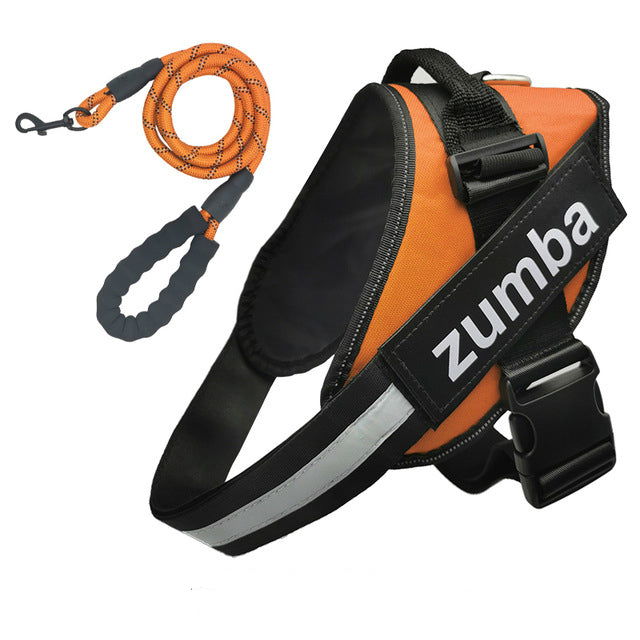 Personalized Dog Harness and Leash with Name and Phone Number - Www.Shopthatapp.com