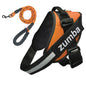 Personalized Dog Harness and Leash with Name and Phone Number - Www.Shopthatapp.com