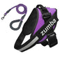 Personalized Dog Harness and Leash with Name and Phone Number - Www.Shopthatapp.com