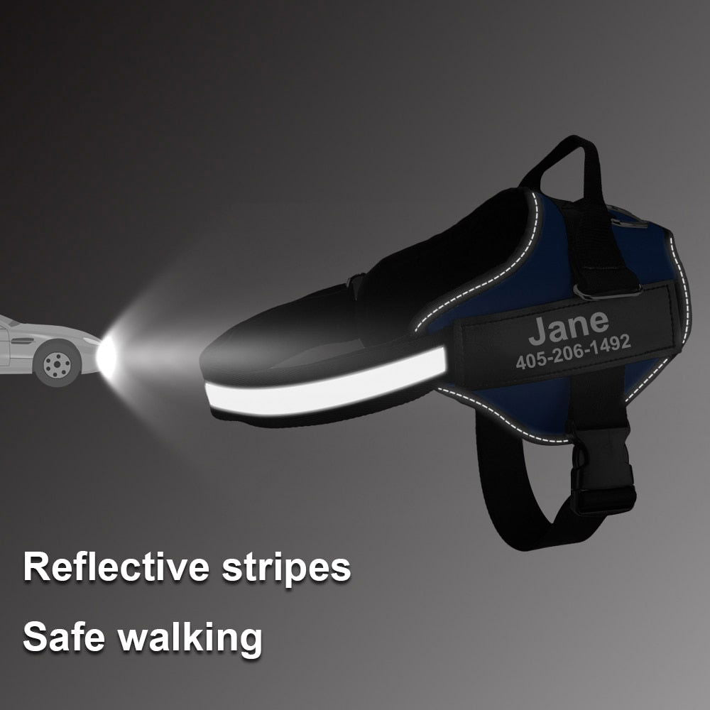 Personalized Dog Harness and Leash with Name and Phone Number - Www.Shopthatapp.com