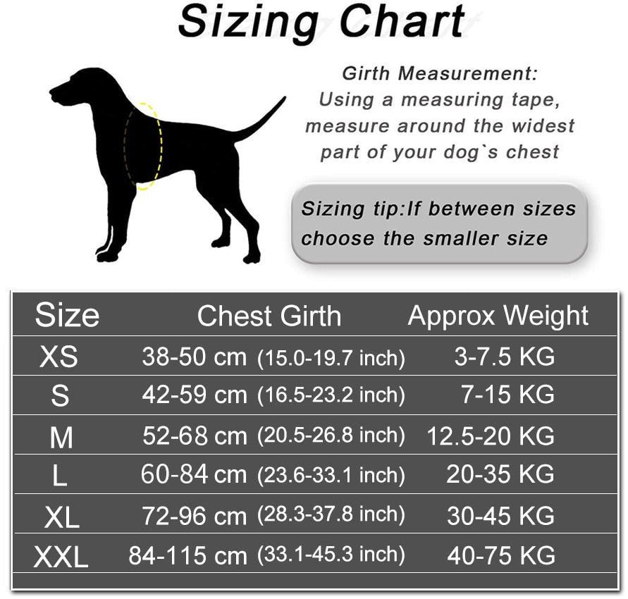 Personalized Dog Harness and Leash with Name and Phone Number - Www.Shopthatapp.com
