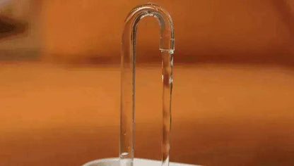 Pet Water Dispenser & Water Filter with a Fountain - www.Shopthatapp.com