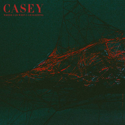Casey / Where I Go When I Am Sleeping - LP Used turquoise - www.Shopthatapp.com