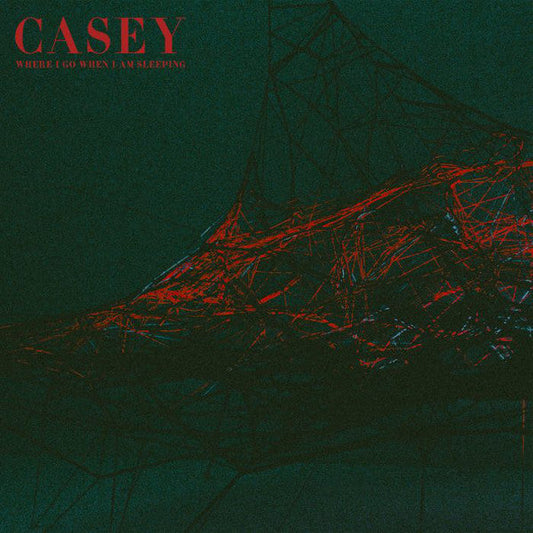 Casey / Where I Go When I Am Sleeping - LP Used turquoise - www.Shopthatapp.com