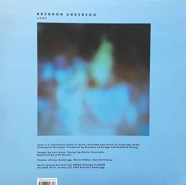Brendon Anderegg / June - LP - www.Shopthatapp.com