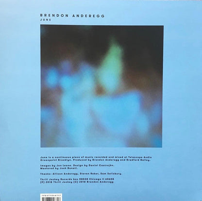 Brendon Anderegg / June - LP - www.Shopthatapp.com