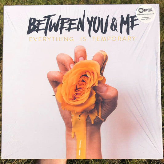 Between You and Me / Everything Is Temporary - LP - www.Shopthatapp.com