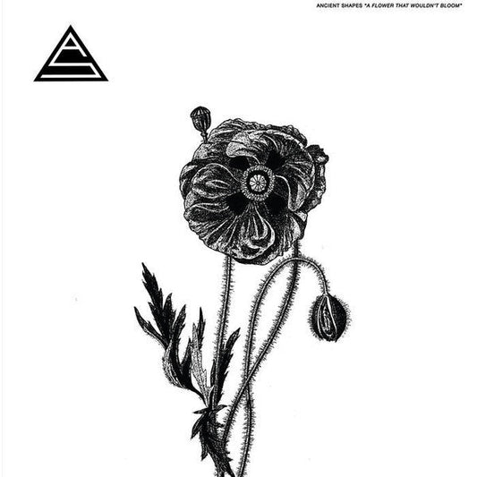 Ancient Shapes / A Flower That Wouldn’t Bloom - LP - www.Shopthatapp.com