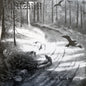 Burzum / Hvis Lyset Tar Oss - LP - www.Shopthatapp.com