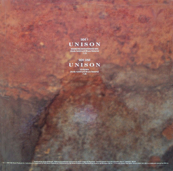 Celine Dion / Unison - 12" (Used) - www.Shopthatapp.com